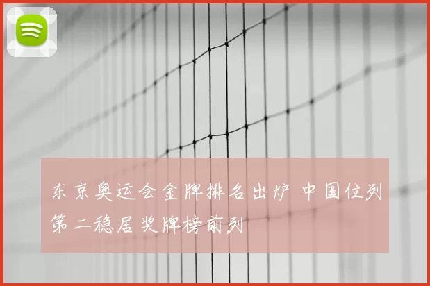 东京奥运会金牌排名出炉 中国位列第二稳居奖牌榜前列