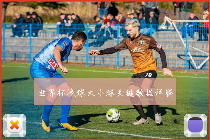 世界杯滚球大小球关键数据详解