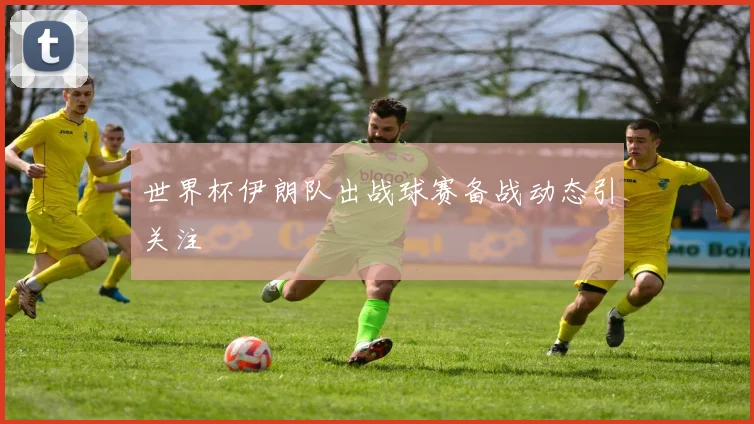 世界杯伊朗队出战球赛备战动态引关注